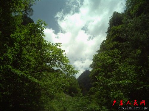 20100617121943_conew2.jpg
