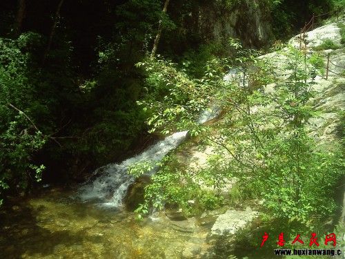 20100617121541_conew1.jpg