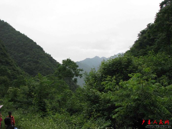 IMG_0783.jpg