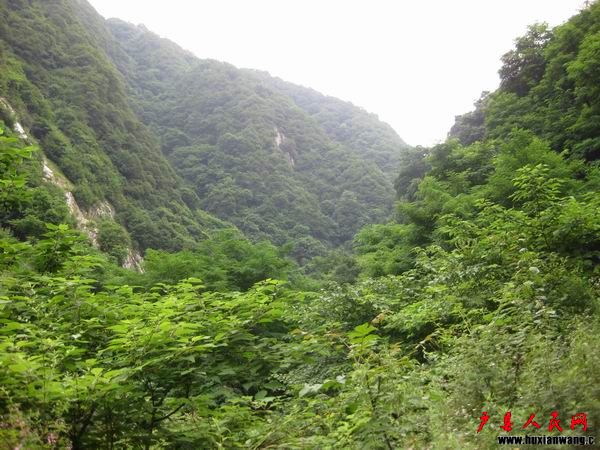 IMG_0155.JPG