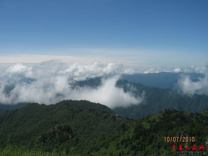 Ƭ 021.jpg
