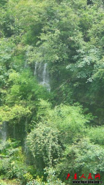 DSC00214.JPG