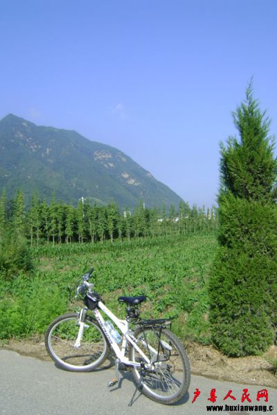 DSC03771.jpg