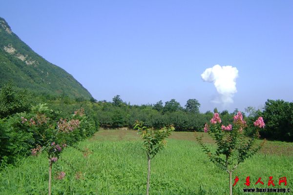 DSC03779.jpg