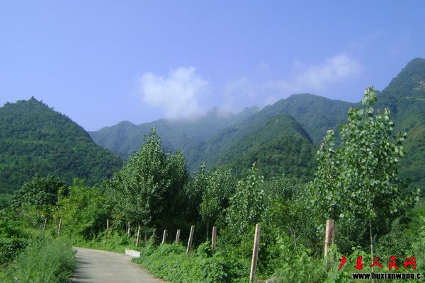 DSC03774.jpg