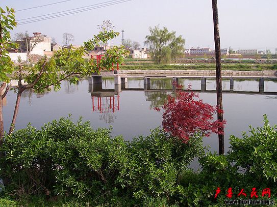 2201.jpg