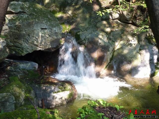 С P1010755.JPG