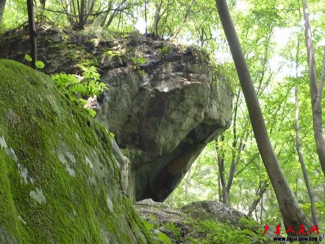 С P1010828.JPG