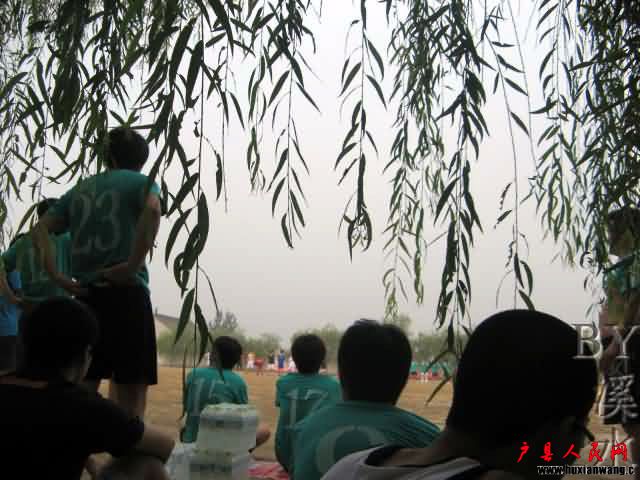 IMG_9037.JPG