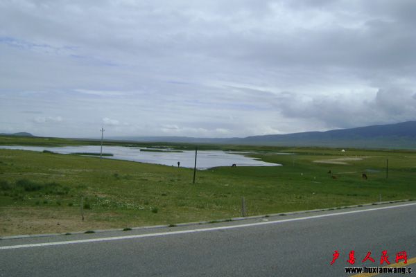 DSC04053.jpg