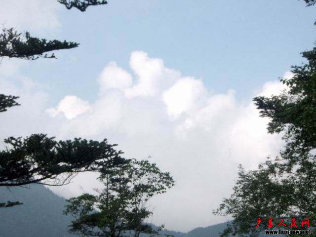 С ع P8080798.JPG
