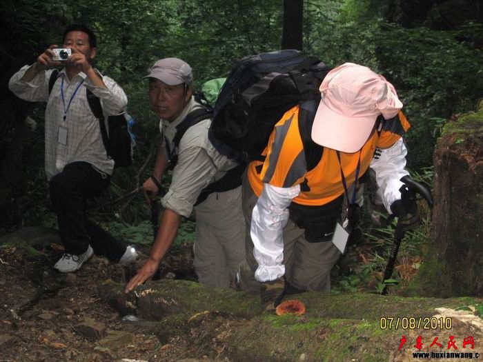 Ƭ 069.jpg