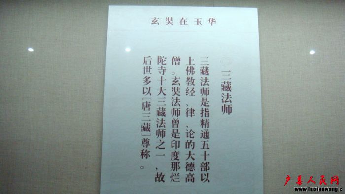 DSC08155.JPG