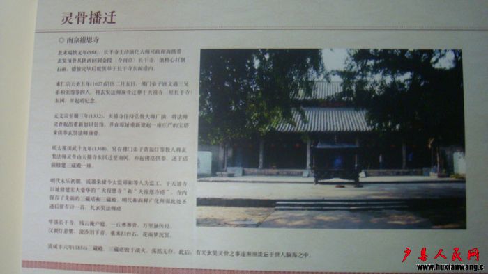 DSC08171.JPG