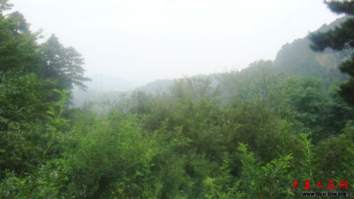 DSC08212.JPG