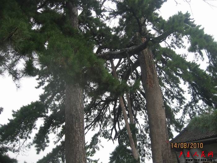 Ƭ 028.jpg