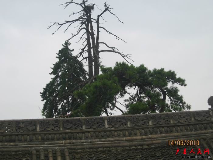 Ƭ 039.jpg
