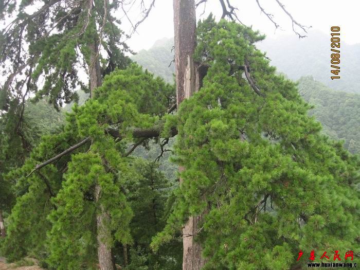 Ƭ 043.jpg