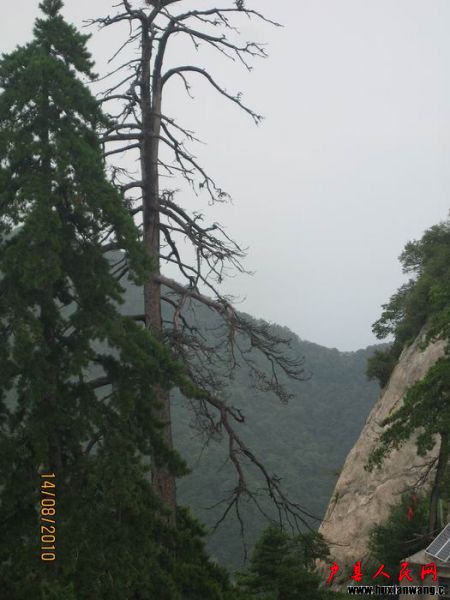 Ƭ 059.jpg