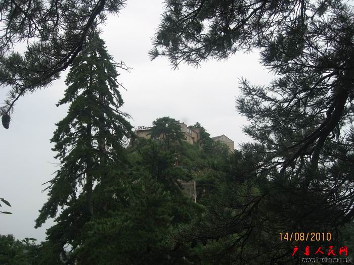 Ƭ 062.jpg