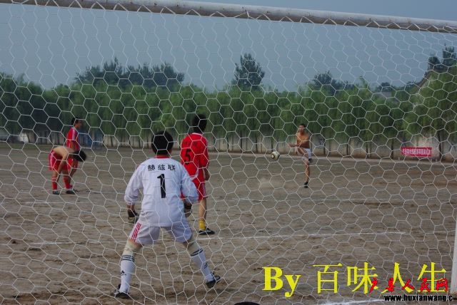 IMGP8810.jpg
