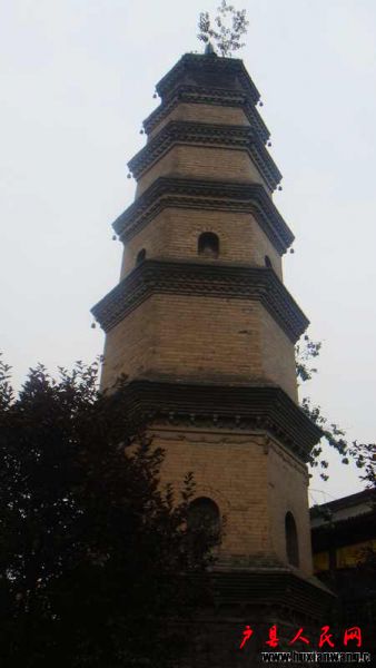 DSC08219.JPG
