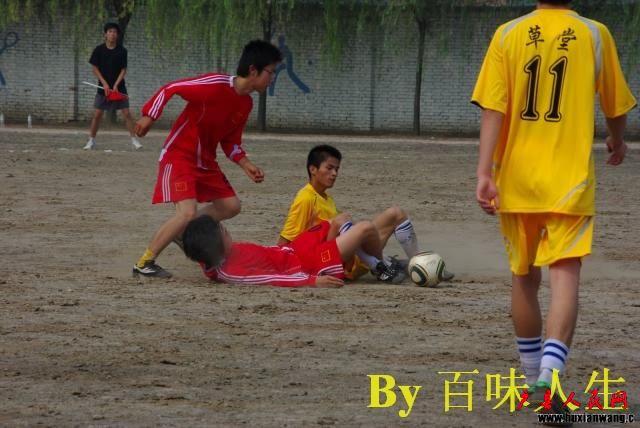 IMGP8852.jpg
