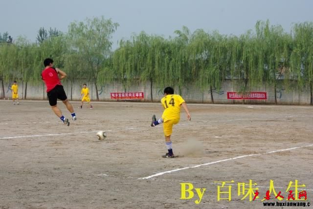 IMGP8830.jpg