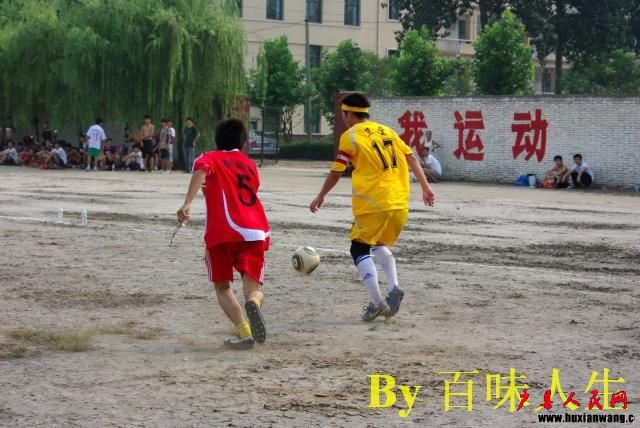 IMGP8848.jpg