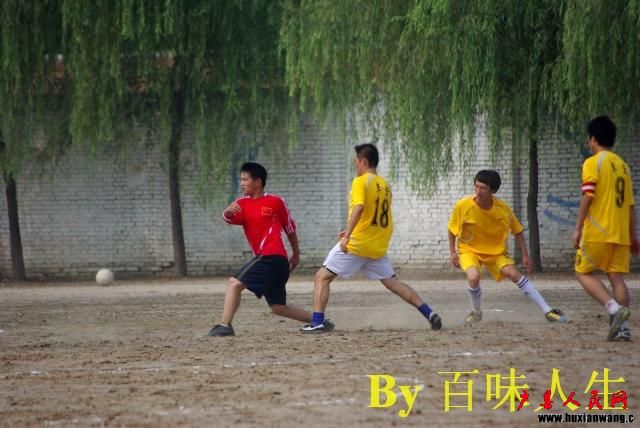 IMGP8855.jpg