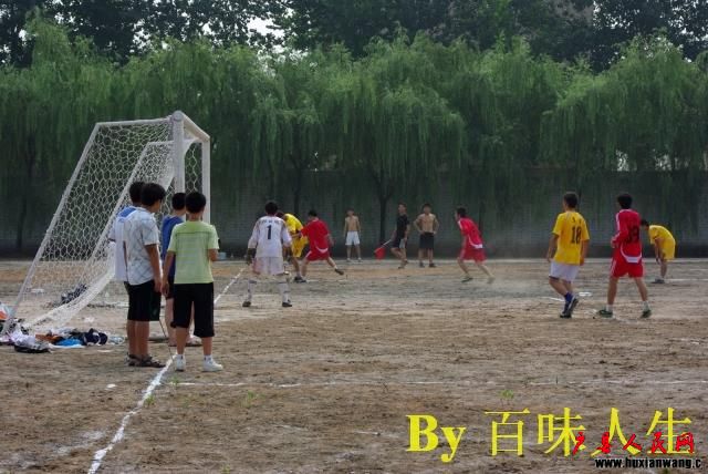 IMGP8867.jpg
