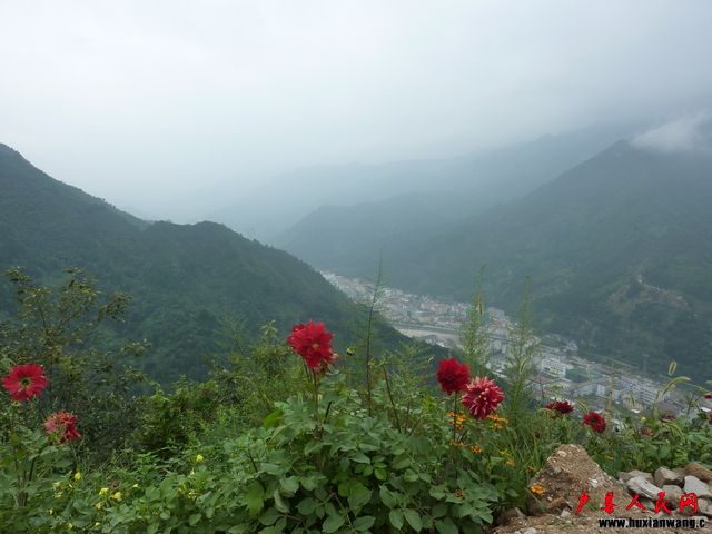 P1090225.jpg