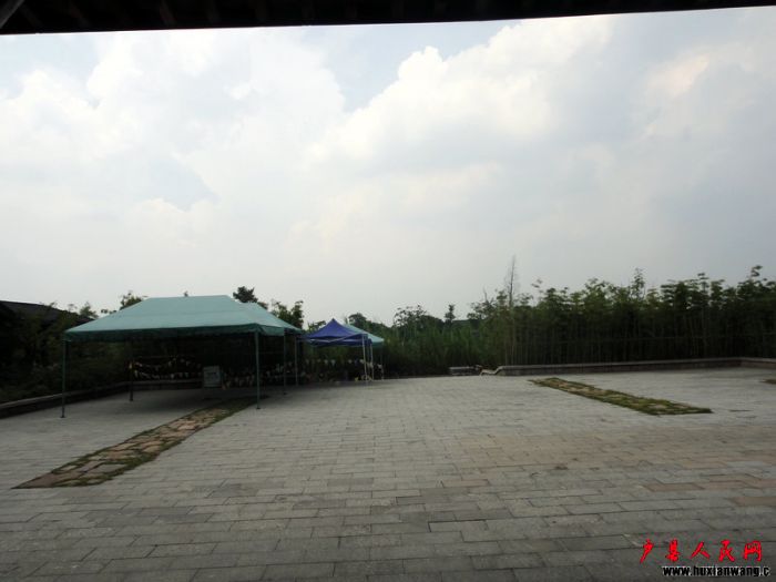 DSC01584.JPG