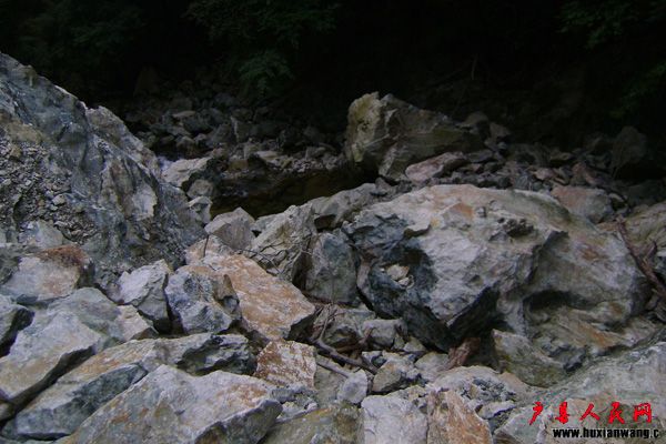 yu11.jpg