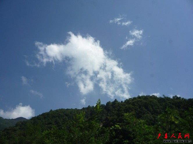 δ6.jpg