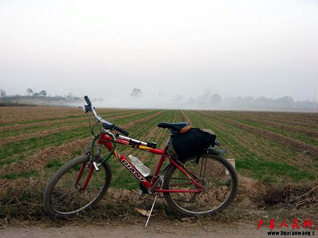 a02.jpg