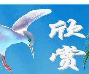 1006092154b318e99af295deec.gif