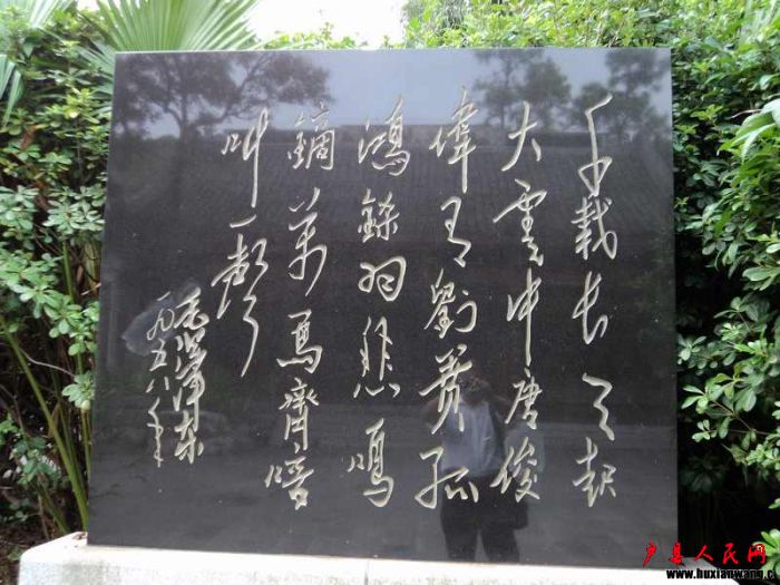 DSC00116.JPG