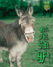 δ431.gif