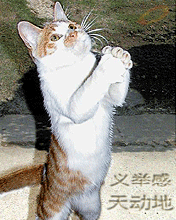δ.gif