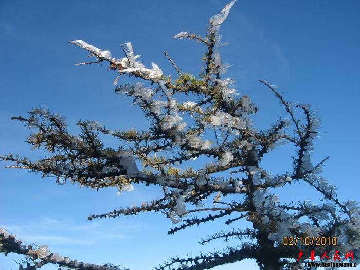 Ƭ 097.jpg