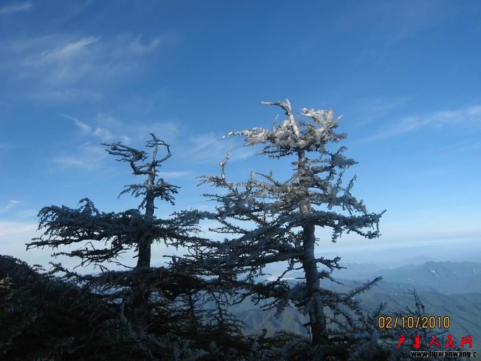 Ƭ 099.jpg