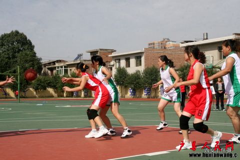 Ƭ 185.jpg