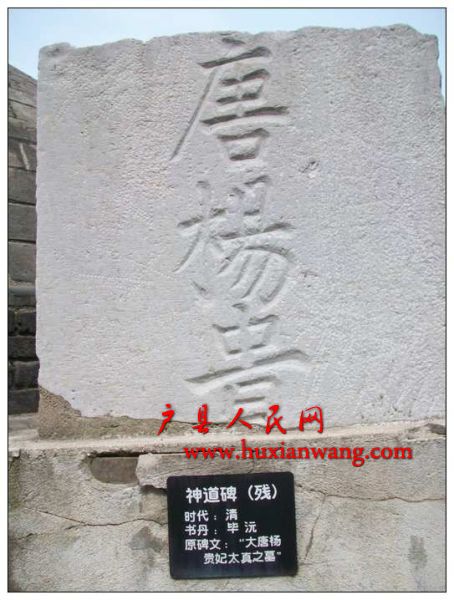 2010.9.18.ͬѧۻƬ 052_nEO_IMG.jpg