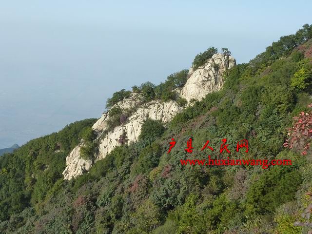 С P1020544.JPG