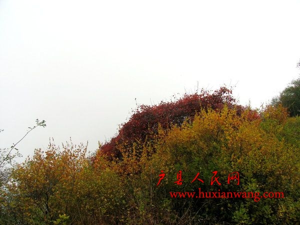 Ƭ 035.jpg