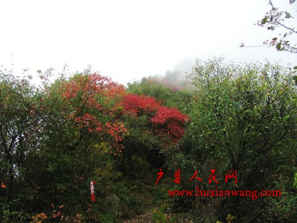 Ƭ 038.jpg