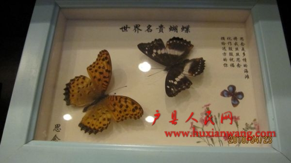 nEO_IMG_IMG_0012.jpg