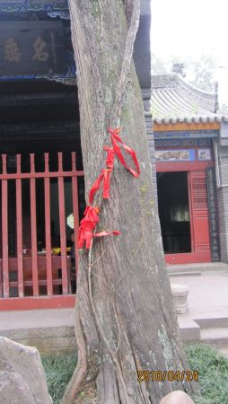 nEO_IMG_IMG_0050.jpg