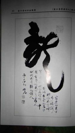 DSC02155.JPG